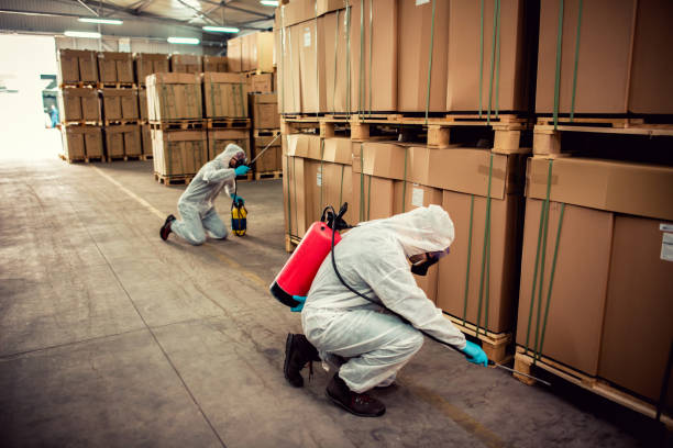 Best Cockroach Control Services  in Channahon, IL