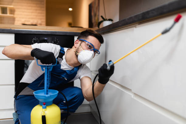 Best Bed Bug Extermination  in Channahon, IL