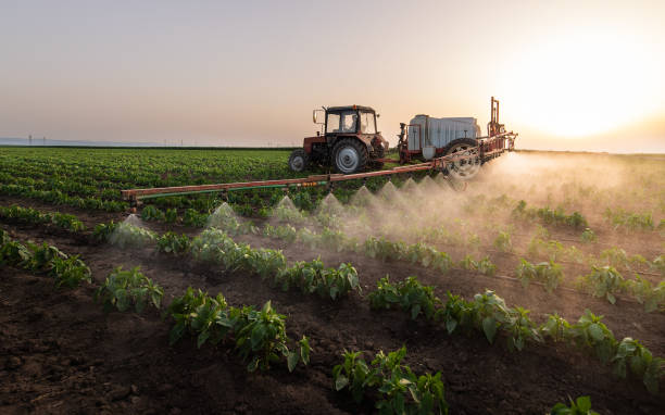 Best Mosquito Control Services  in Channahon, IL