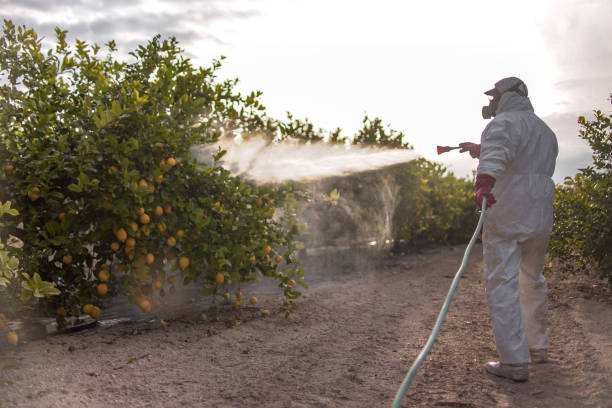 Best Pest Inspection Near Me  in Channahon, IL