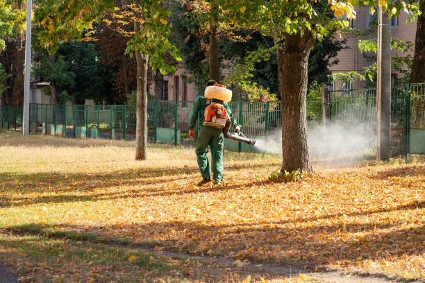 Best Commercial Pest Control Services  in Channahon, IL