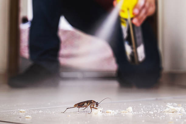 Pest Control Cost in Channahon, IL