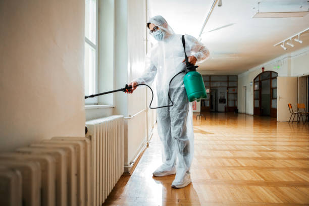 Flea Control Services in Channahon, IL